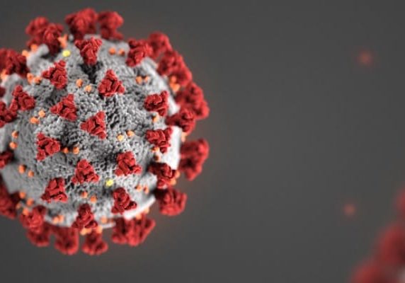 Coronavirus COVID19 712 1 Coronavirus COVID19 712 1